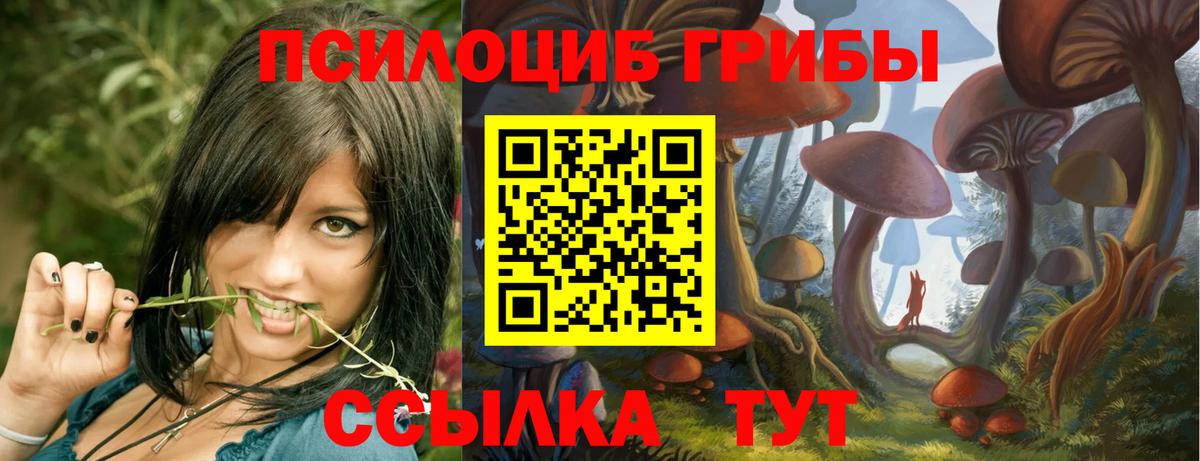 Псилоцибиновые грибы прущие грибы Сергиев Посад